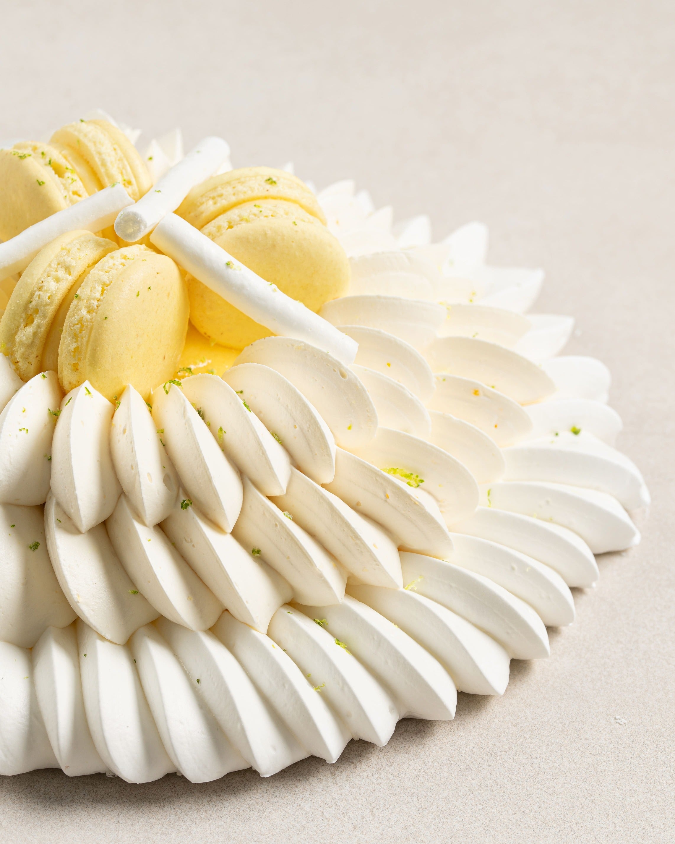 Lemon Povlova
